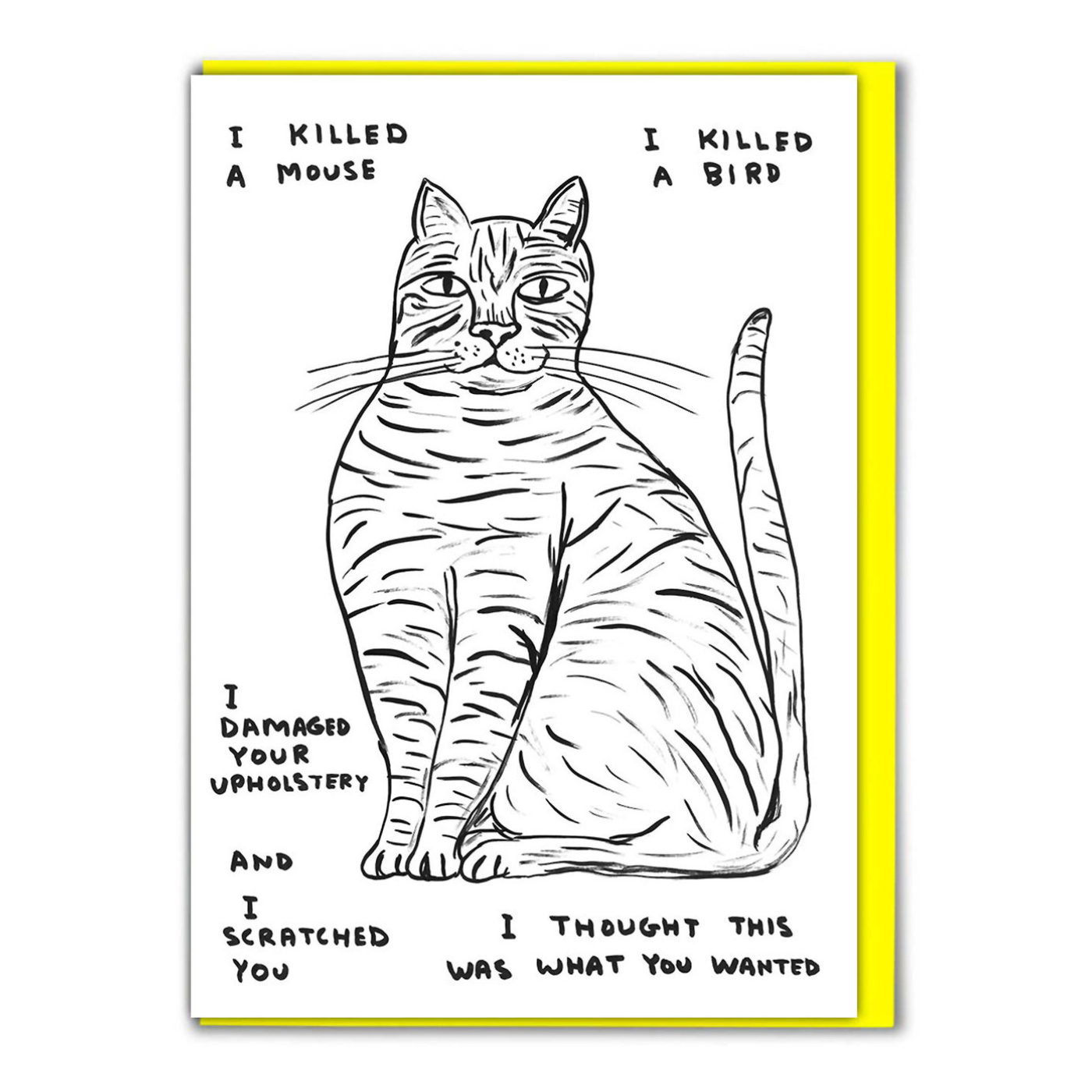 A greeting card with a black and white illustration of a cat and a neon yellow envelope.
