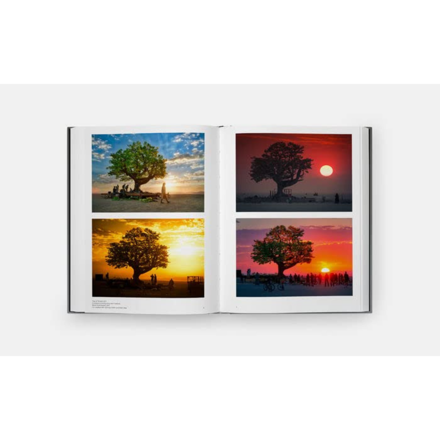 Internal double page spread of four similar photos of tree with sunset behind it.