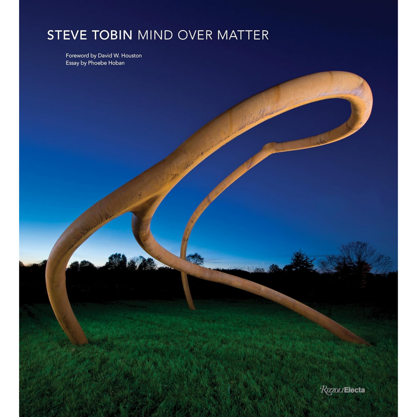 Cover of Steve Tobin book showing bendy wooden sculpture.