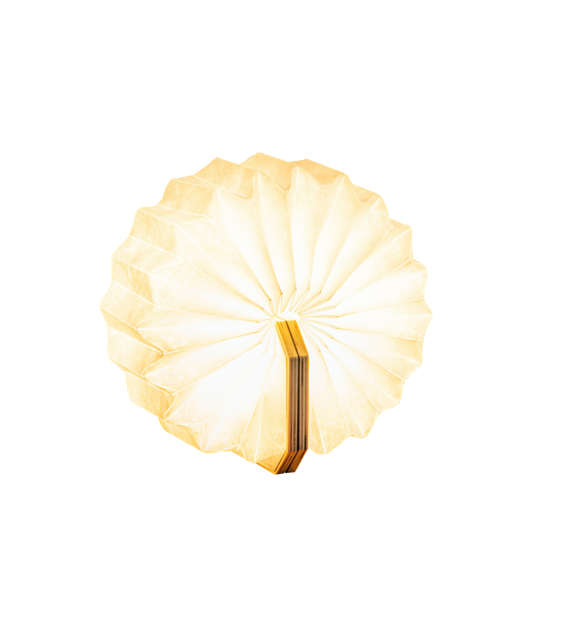 An unfolded accordion light on a white background.