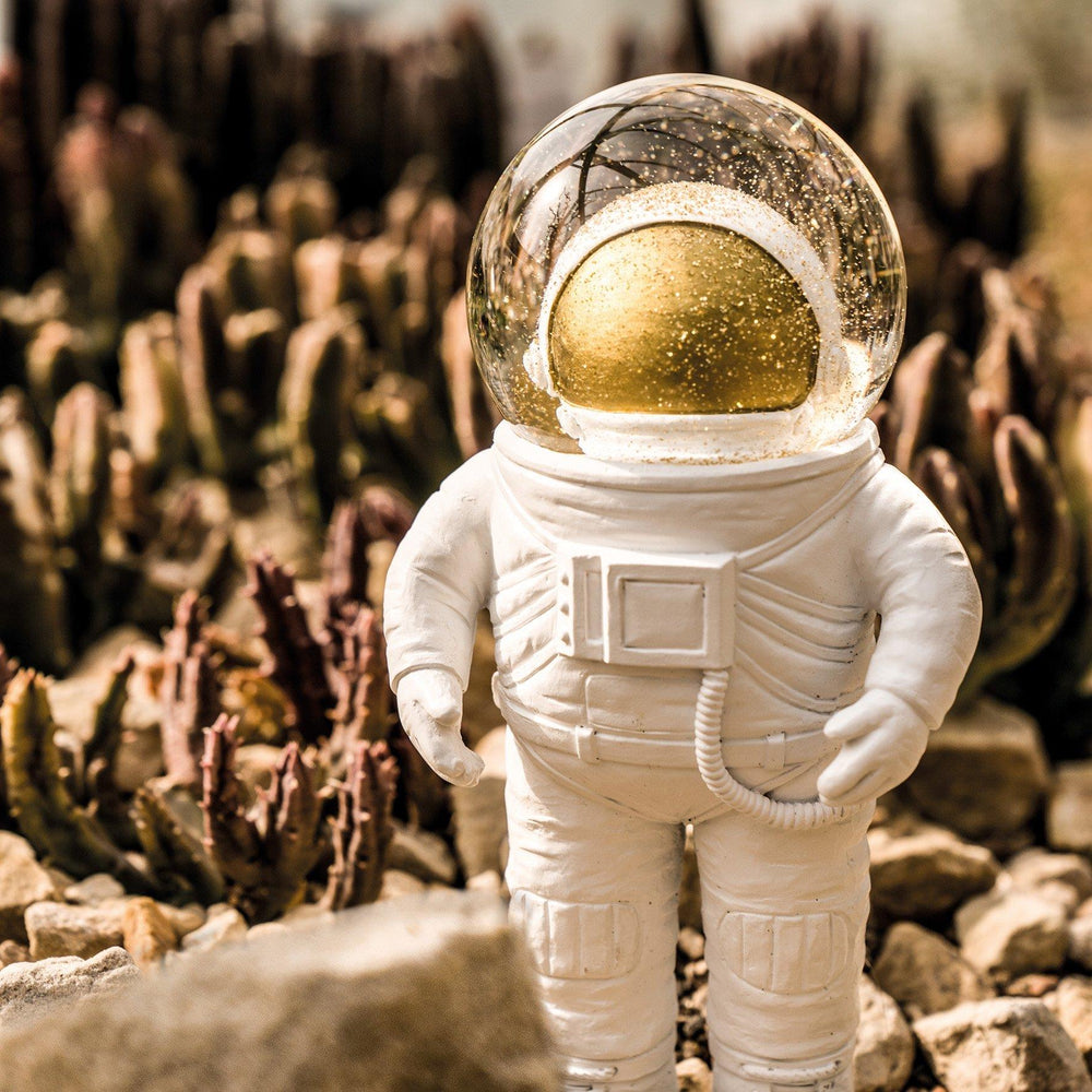 
                  
                    Astronaut Summerglobe
                  
                