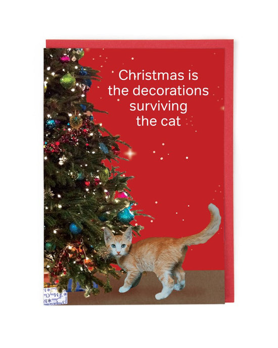 The Cat Christmas Card