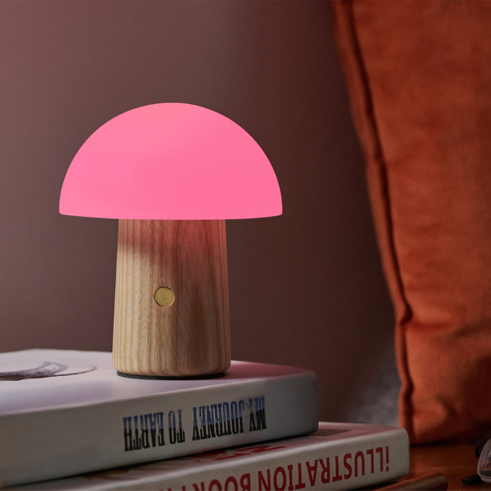 
                  
                    A mushroom shaped small lamp with a wooden base placed on top of a stack of books.
                  
                