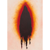 Anish Kapoor Exhibition Catalogue (Limited Edition)