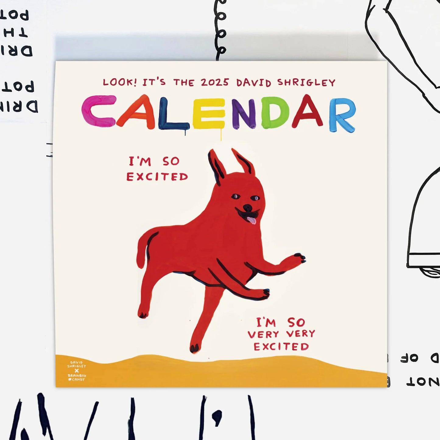 David Shrigley 2025 Calendar