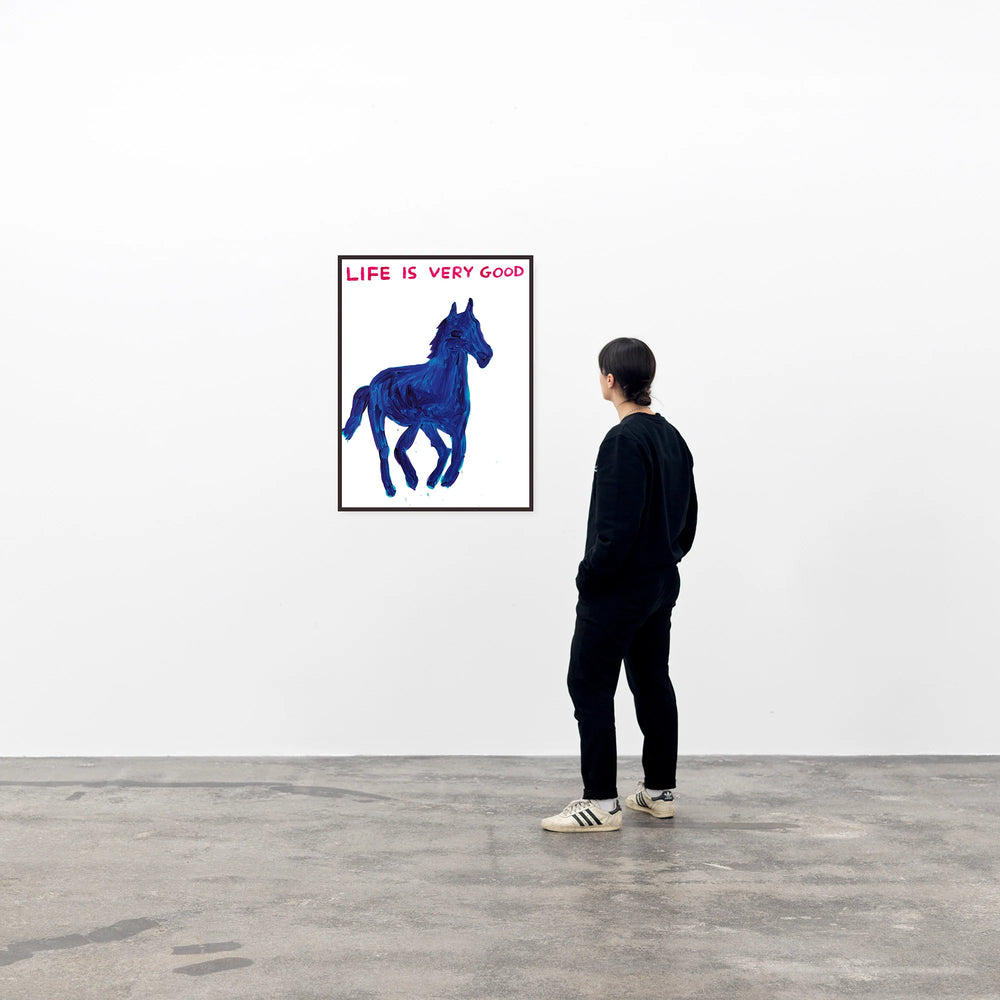 
                  
                    David Shrigley | Life is Very Good Poster
                  
                