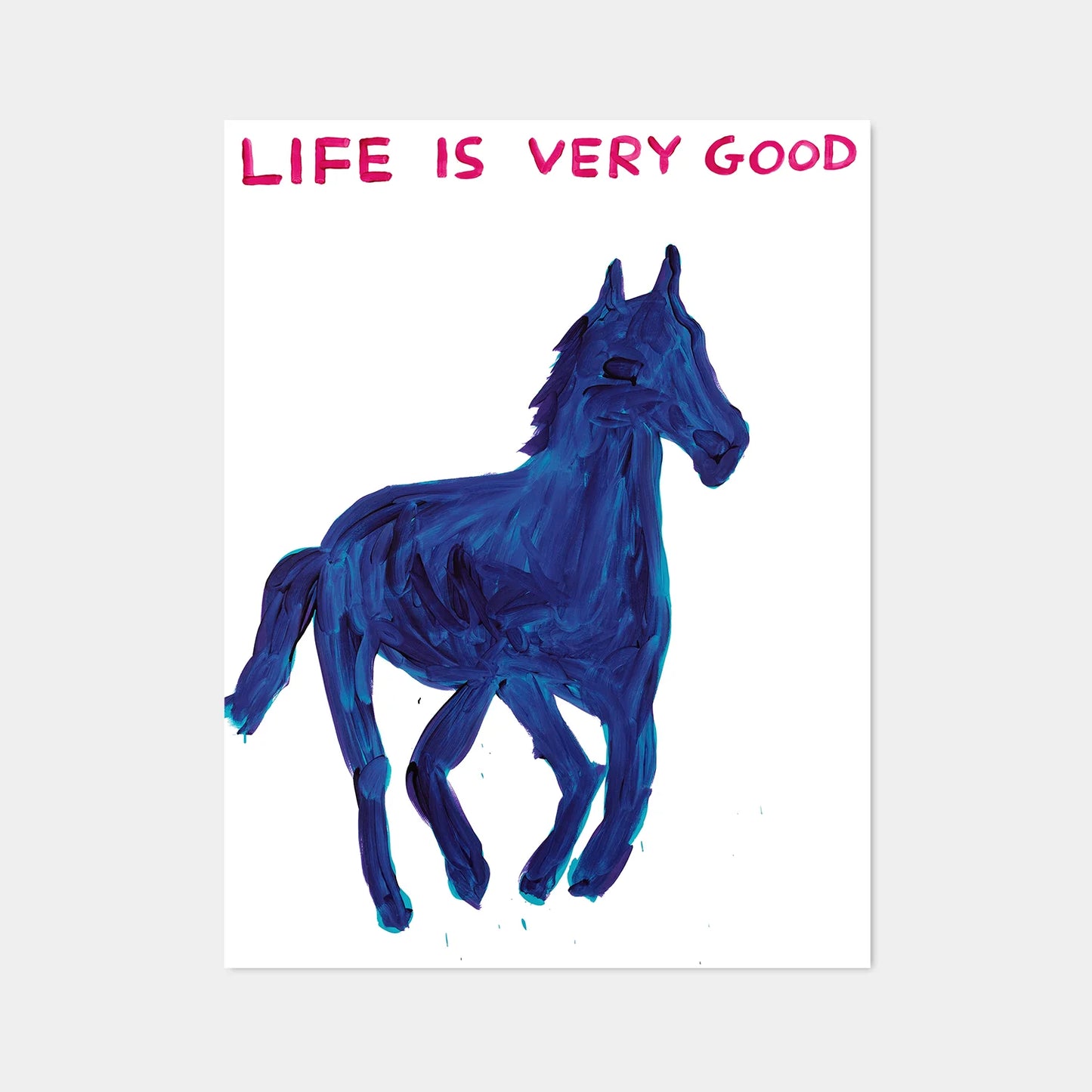 David Shrigley | Life is Very Good Poster