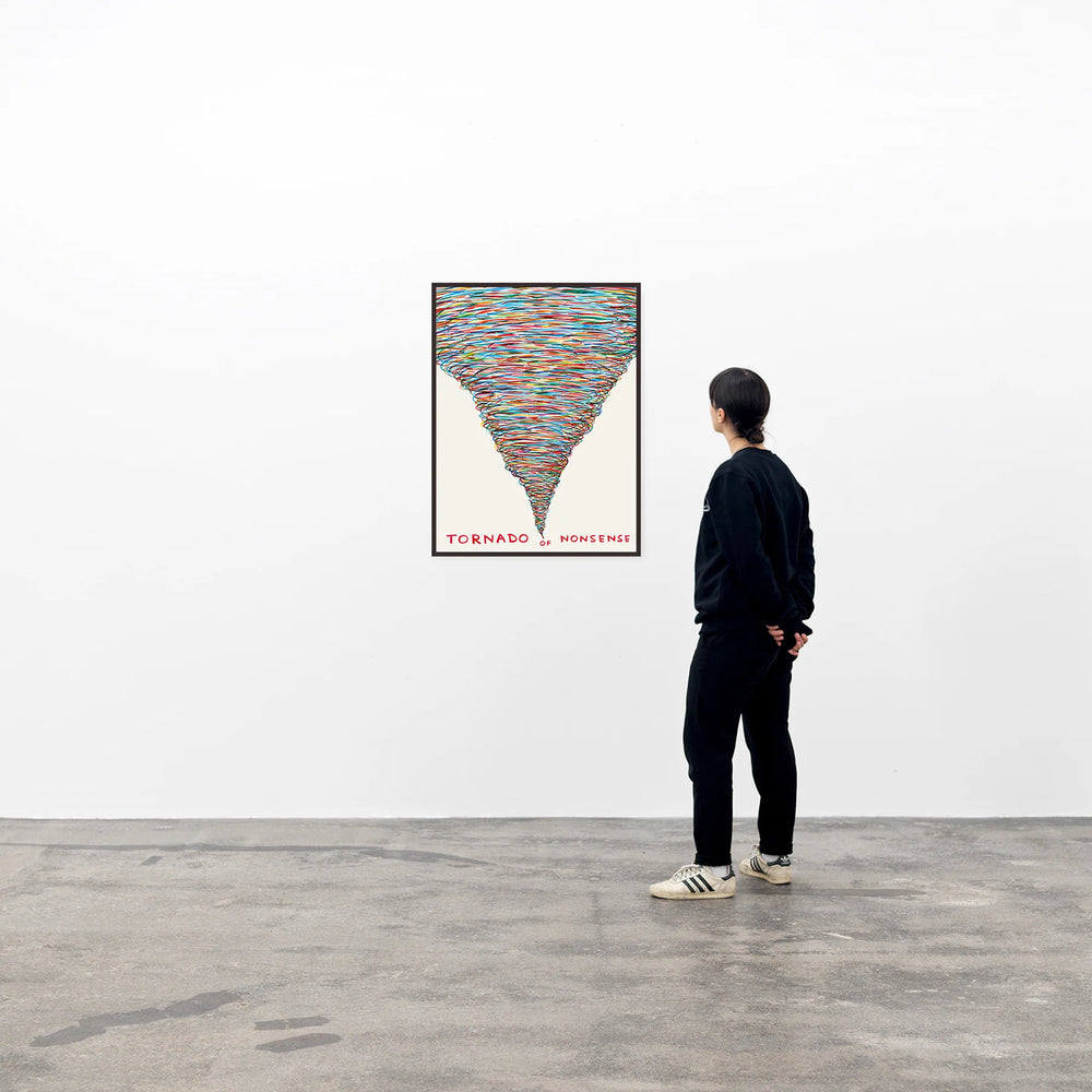 
                  
                    David Shrigley | Tornado of Nonsense Poster
                  
                