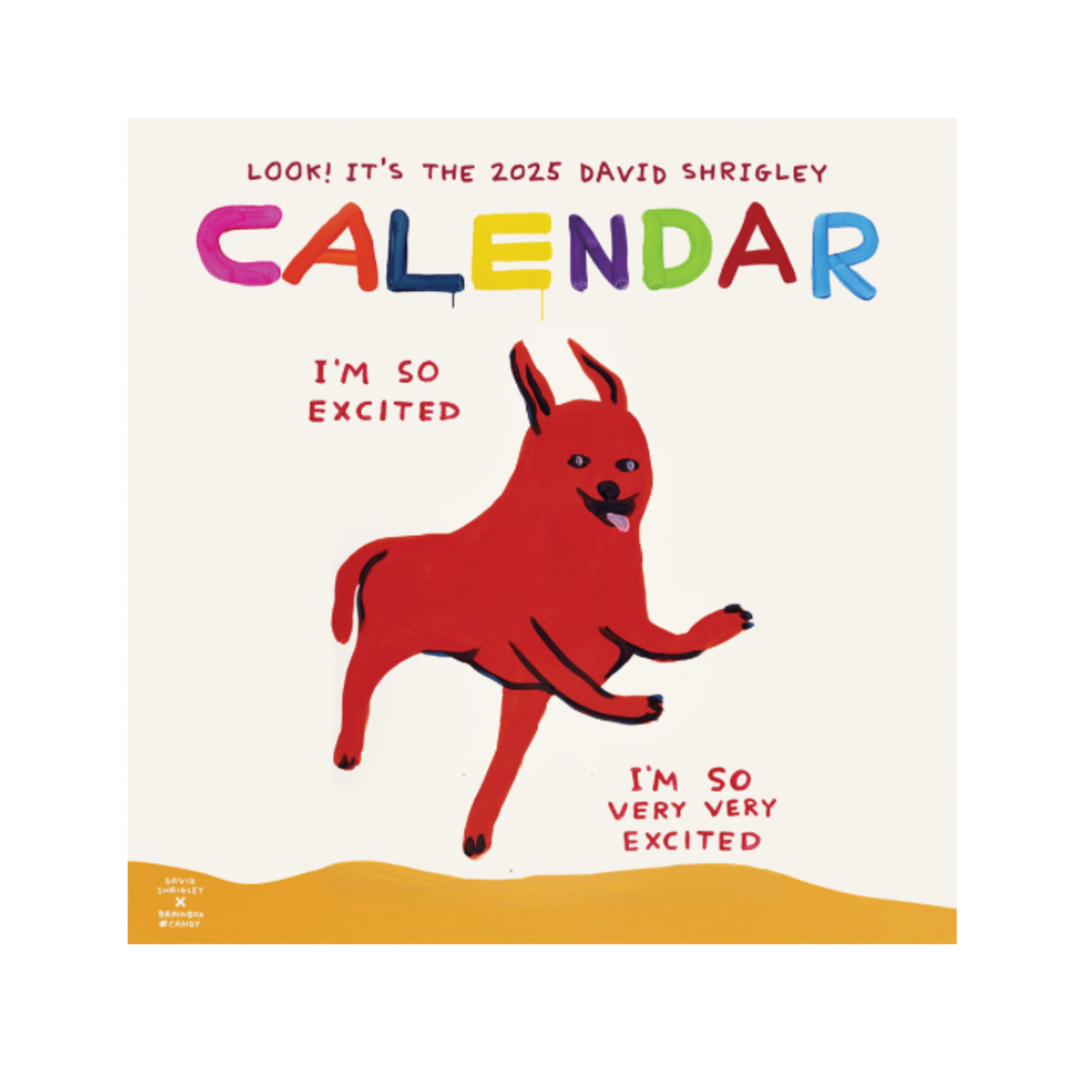 David Shrigley 2025 Calendar