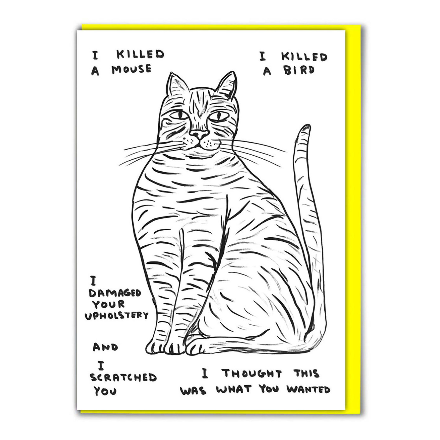 I Killed A Mouse by David Shrigley Greeting Card