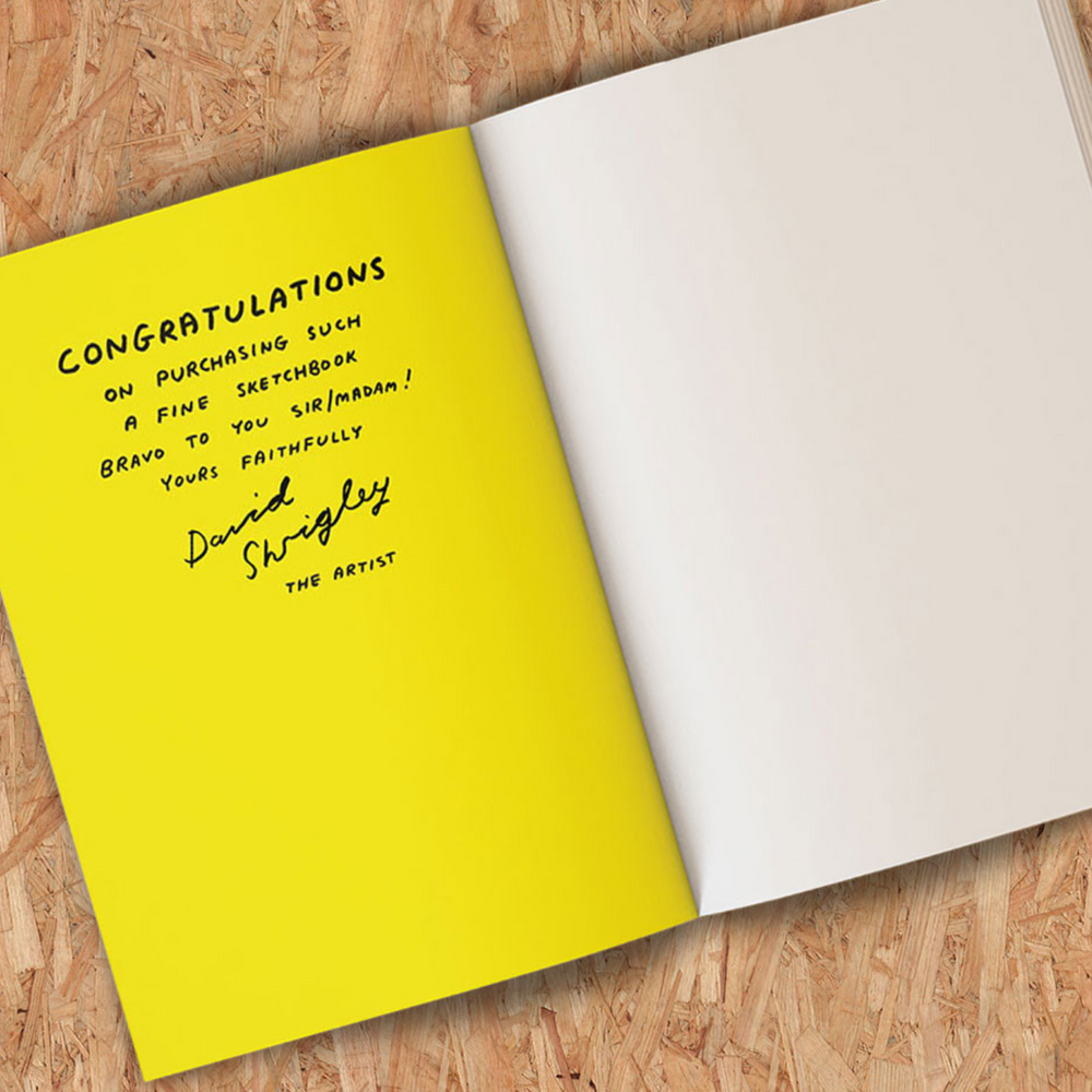 
                  
                    Be An Artist By David Shrigley Sketchbook
                  
                