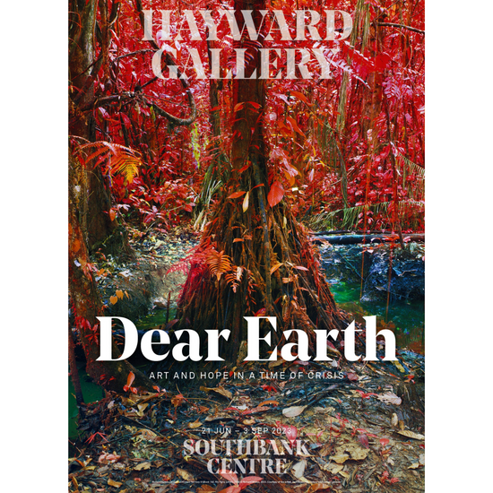 Dear Earth exhibition poster