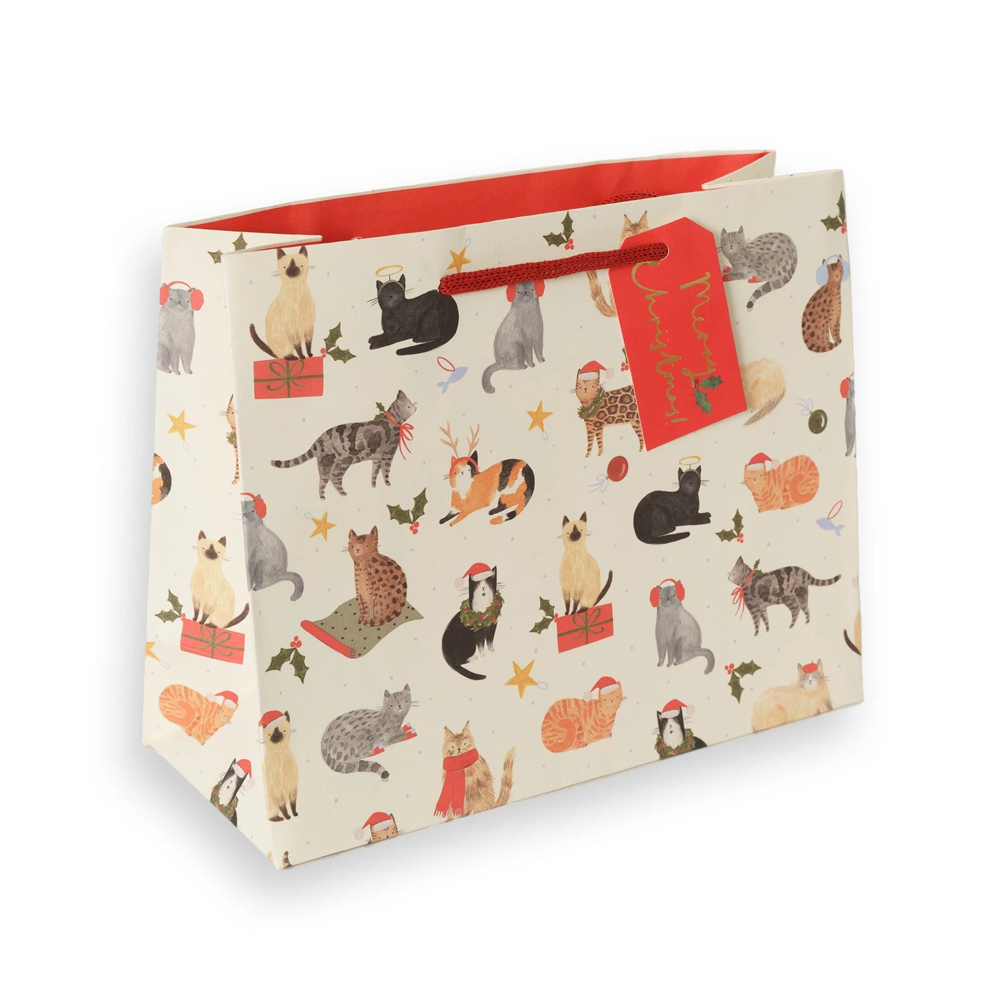 Christmas Cats Gift Bag