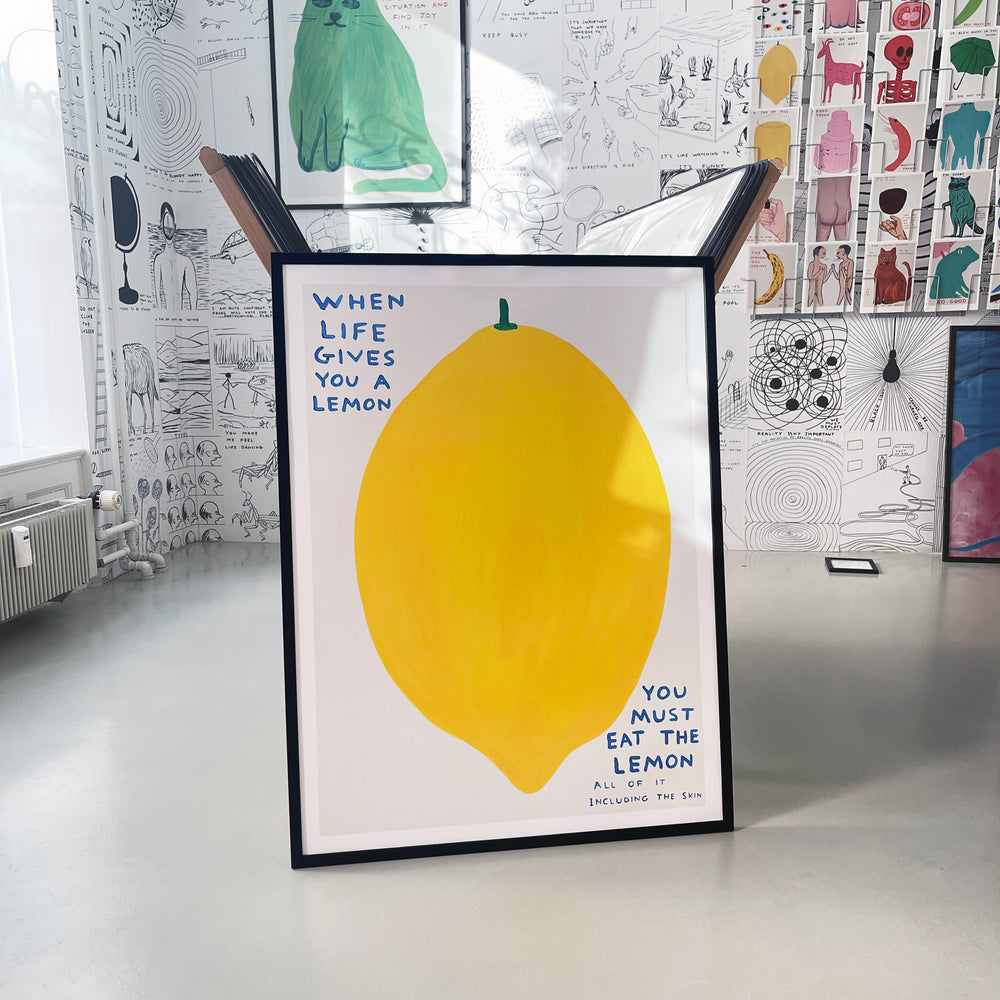 Shrig Shop by David Shrigley