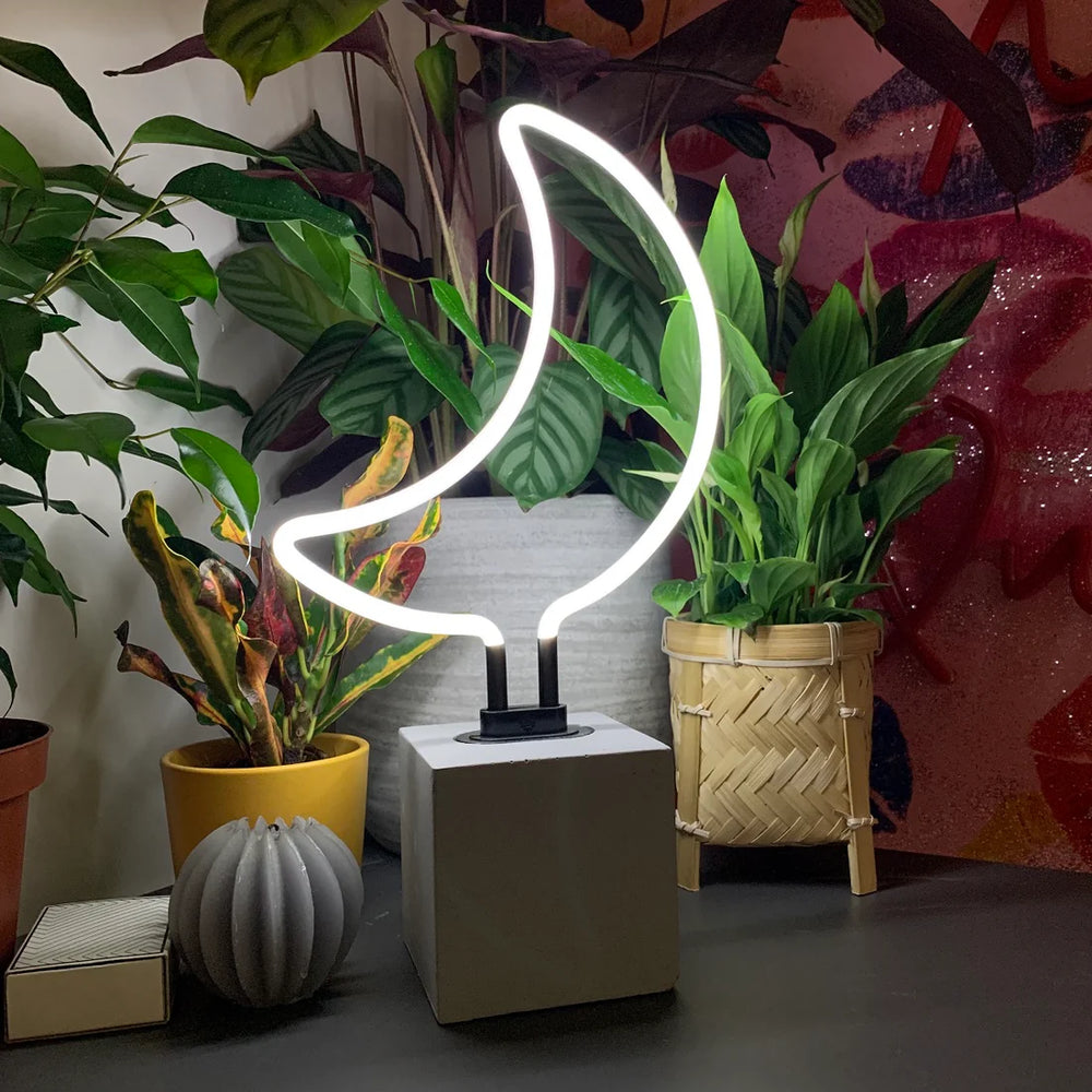 
                  
                    Moon Neon Lamp
                  
                