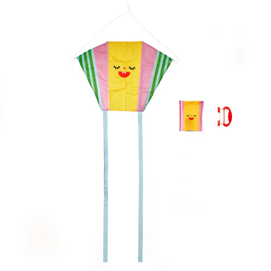 Funny Face Kites