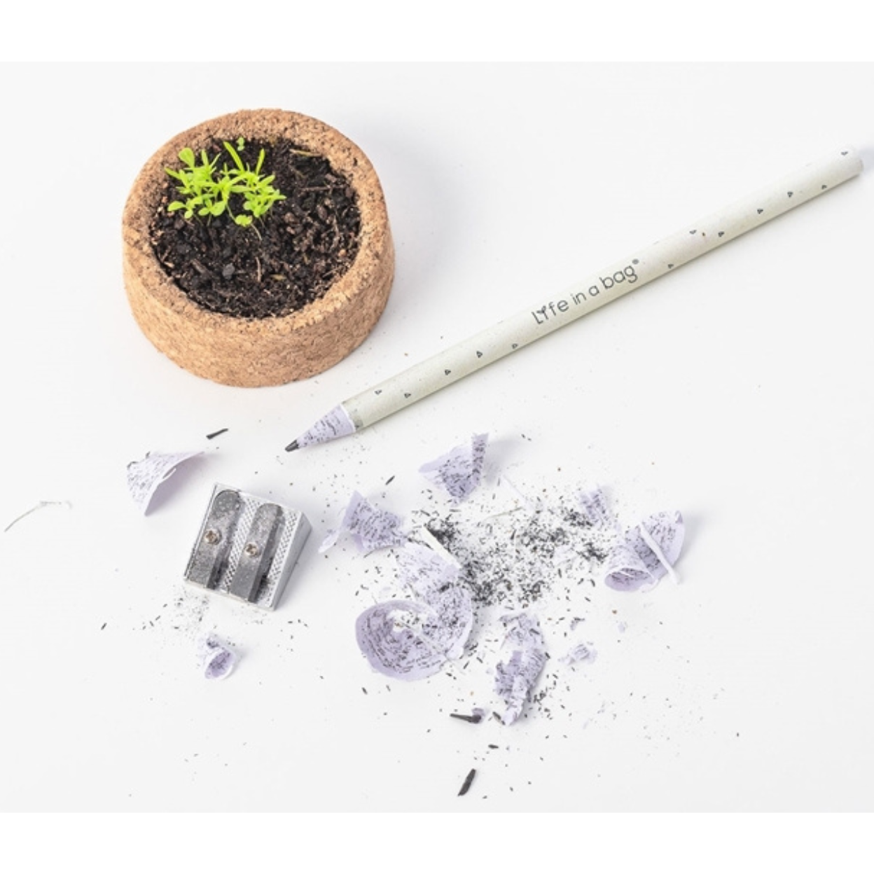 Chamomile Grow Pencil