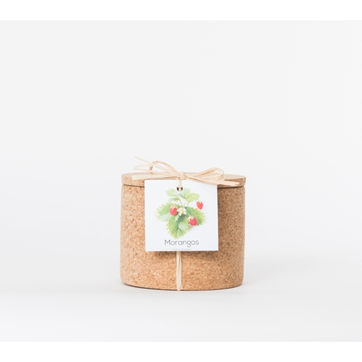 Cork Planter Strawberry