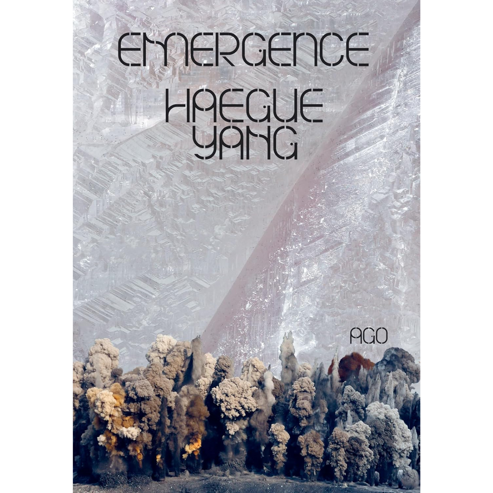 Cover of Haegue Yang's Emergence.