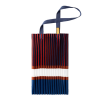 Satin Pleated Multitudes Bag