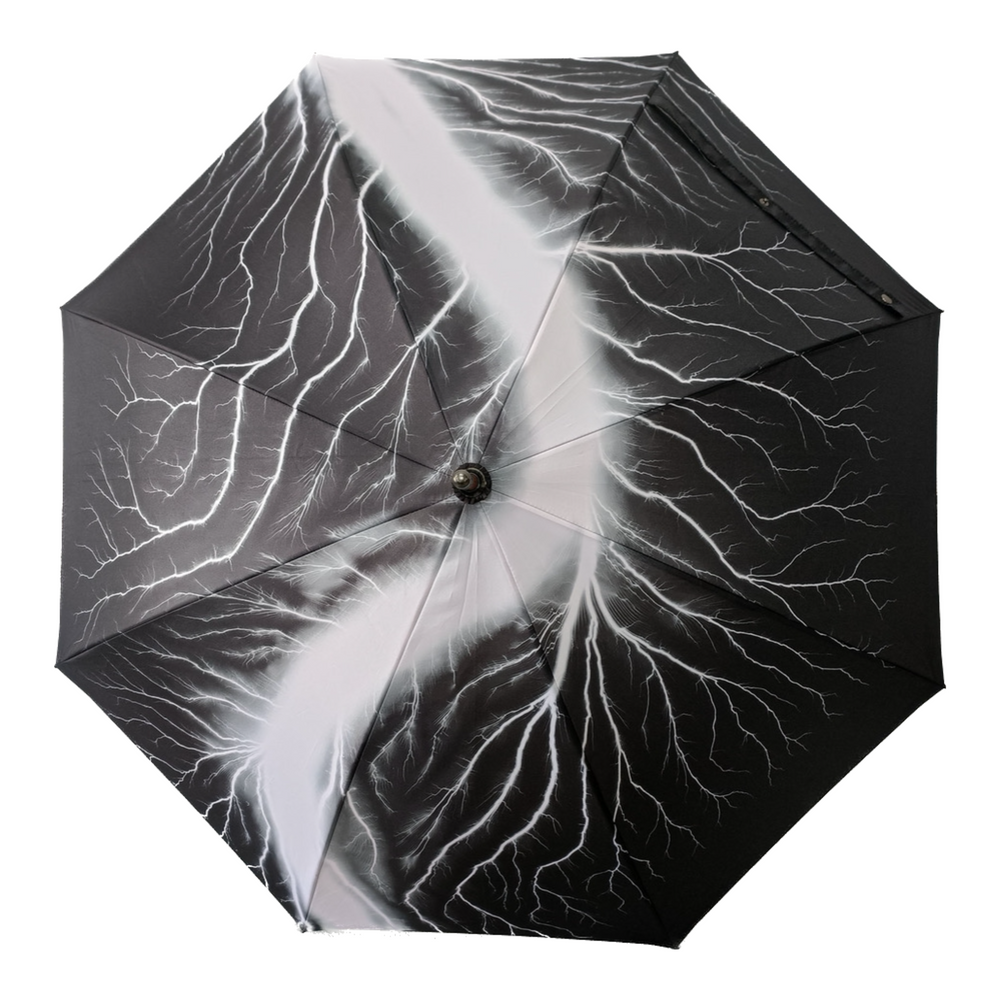 
                  
                    Lightning Fields Umbrella
                  
                