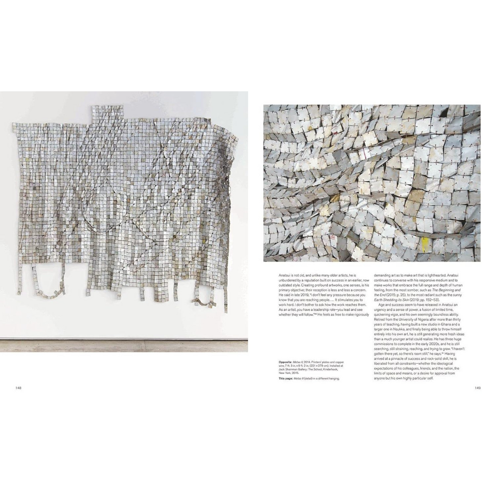 
                      
                        El Anatsui: Art and Life
                      
                    