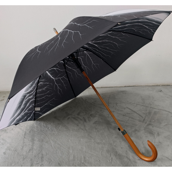 Load image into Gallery viewer, Lightning Fields Umbrella
