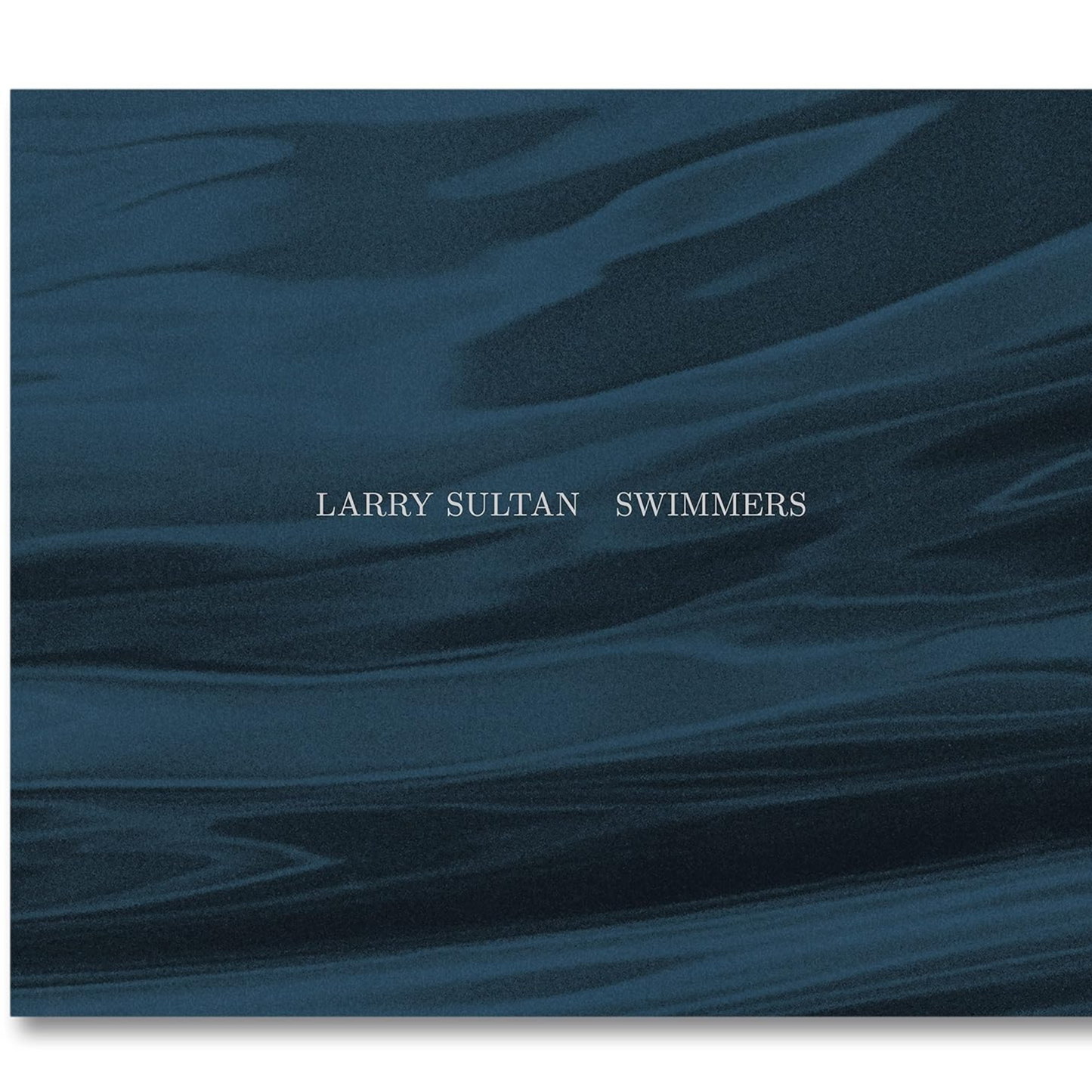 Load image into Gallery viewer, Larry Sultan Swimmers
