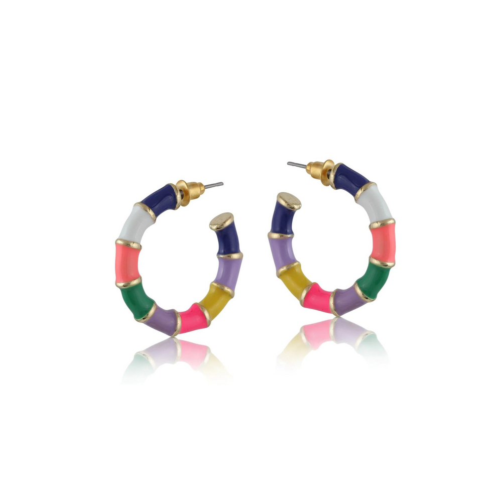 
                      
                        Multi-coloured bamboo hoop shaped earrings
                      
                    