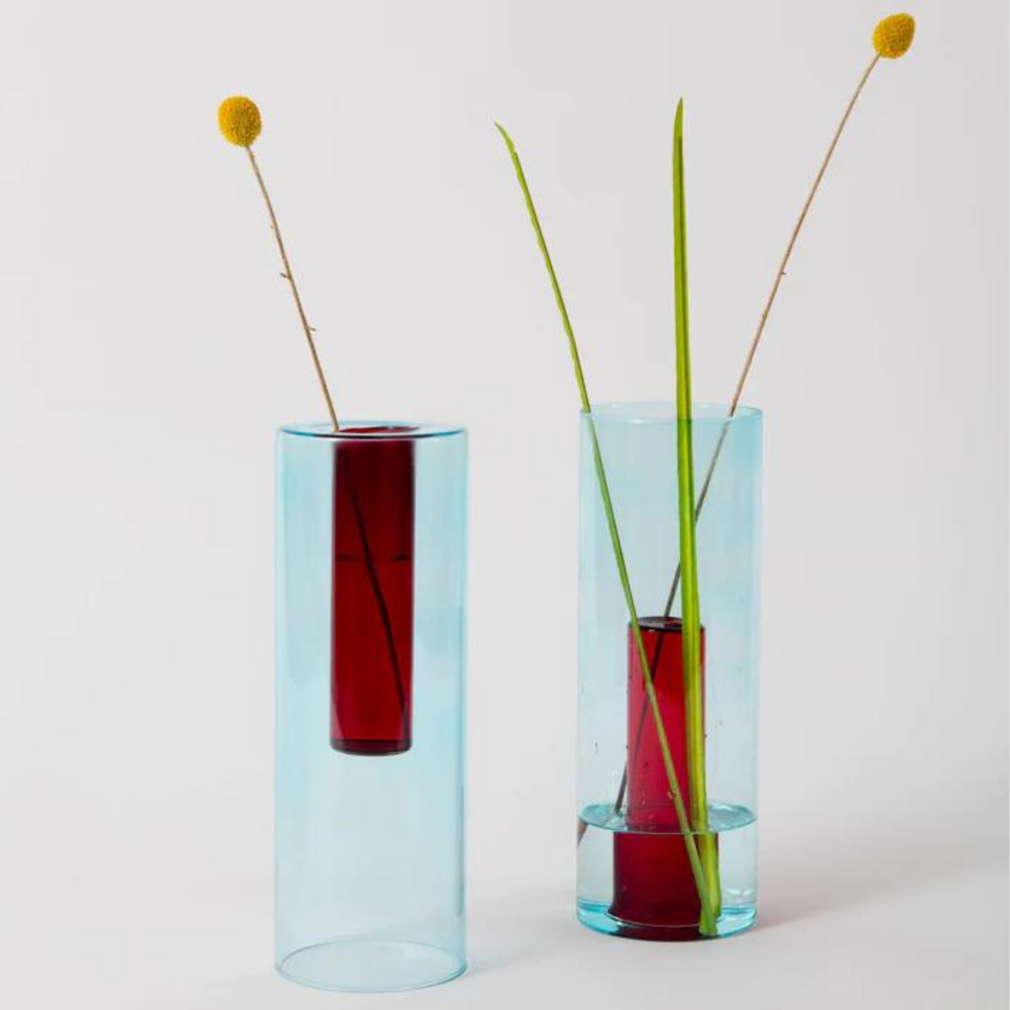 reversible glass blue and red vase with flower stems.