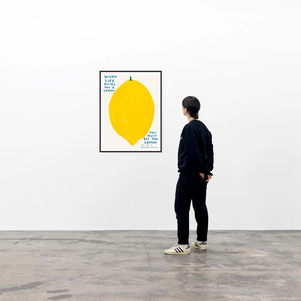 
                      
                        David Shrigley | When Life Gives You A Lemon Poster
                      
                    