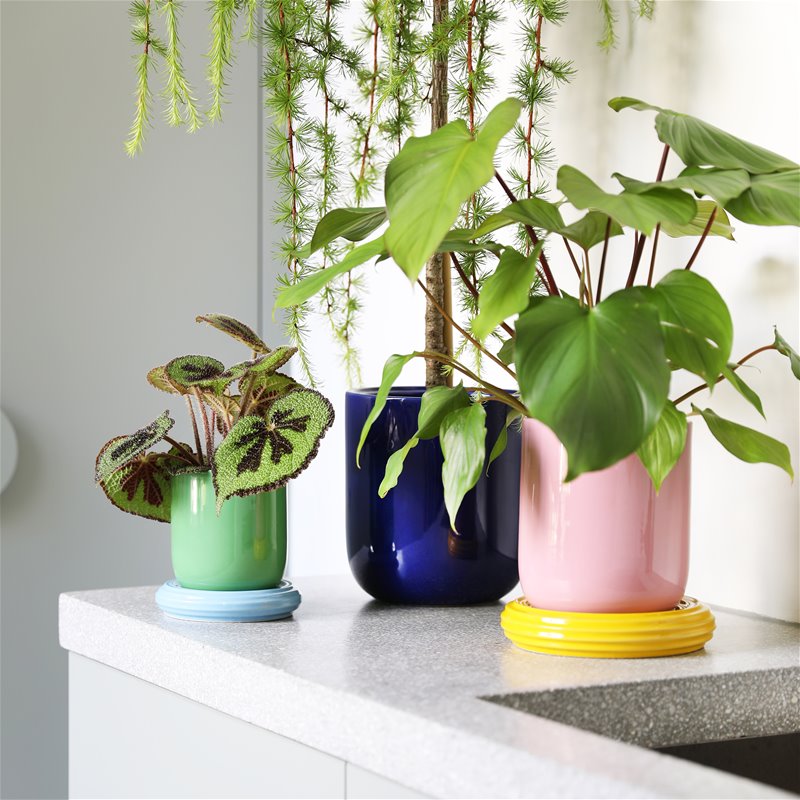 
                  
                    Planter Churros Pink
                  
                