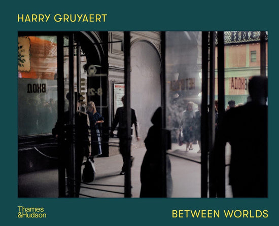 Load image into Gallery viewer, Harry Gruyaert: Between Worlds
