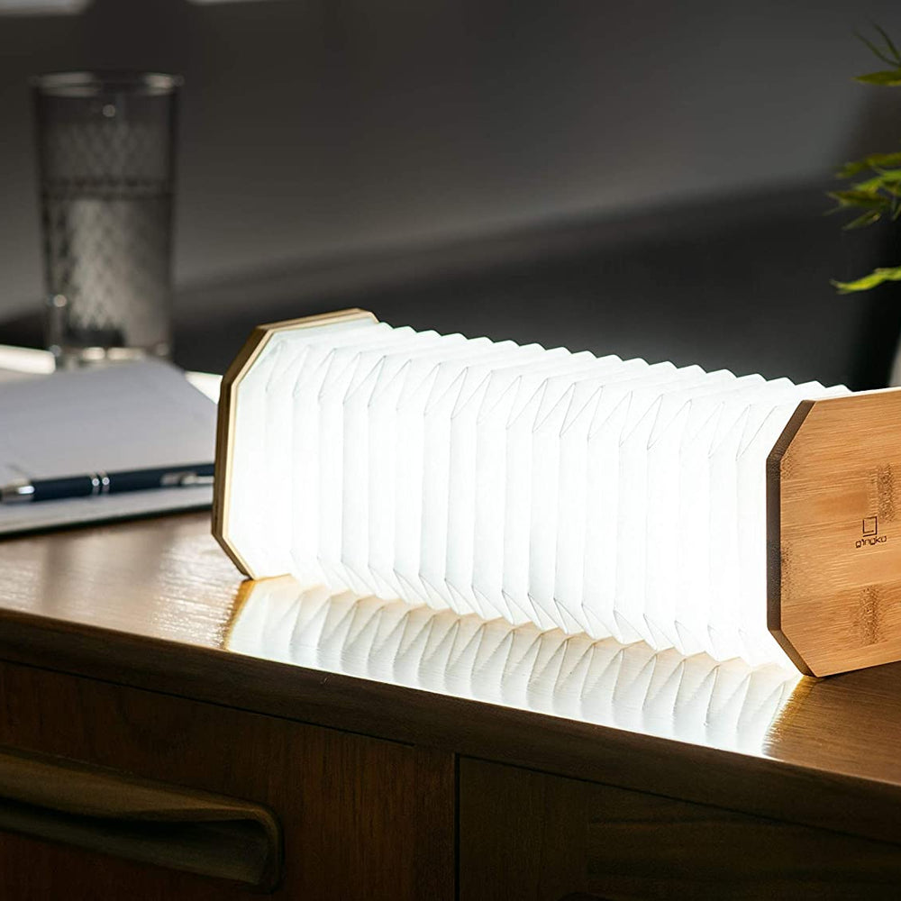 
                  
                    Smart Accordion Lamp
                  
                