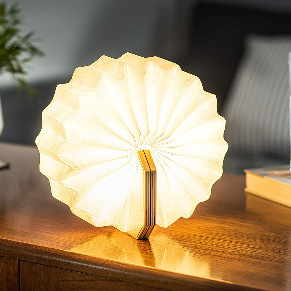 
                  
                    Smart Accordion Lamp
                  
                