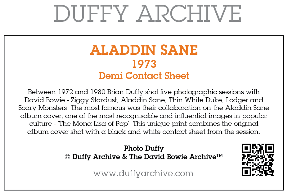 
                  
                    Aladdin Sane Demi Contact Sheet Print
                  
                