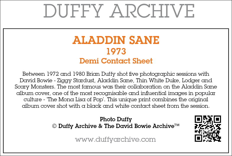Load image into Gallery viewer, Aladdin Sane Demi Contact Sheet Print
