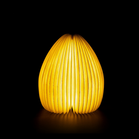 Load image into Gallery viewer, Smart Vase Light
