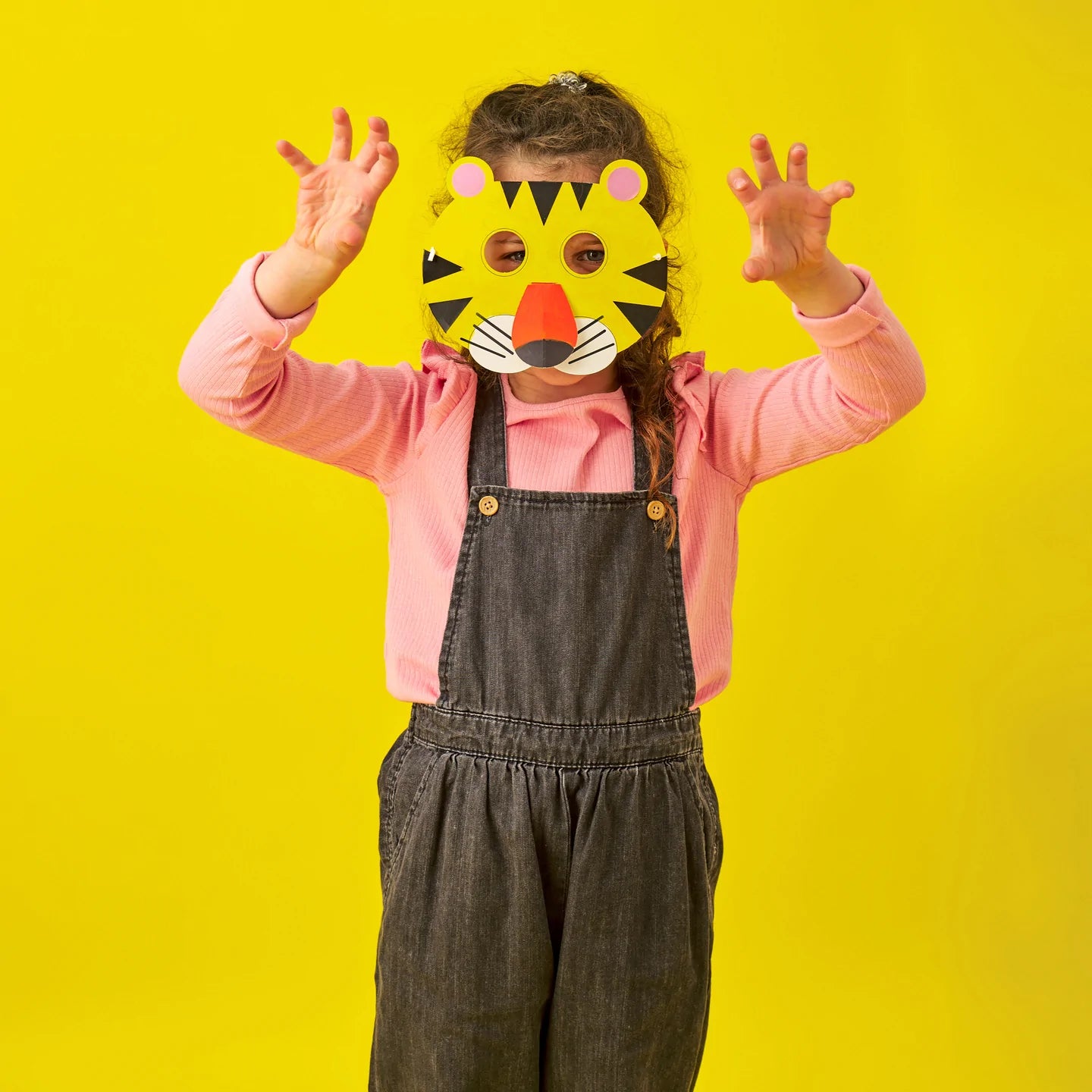 Make Colour & Play - Animal Masks