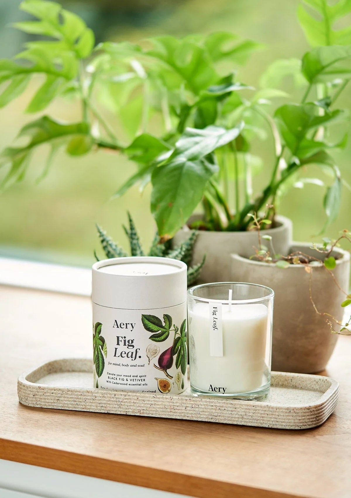 Fig Leaf Scented Candle