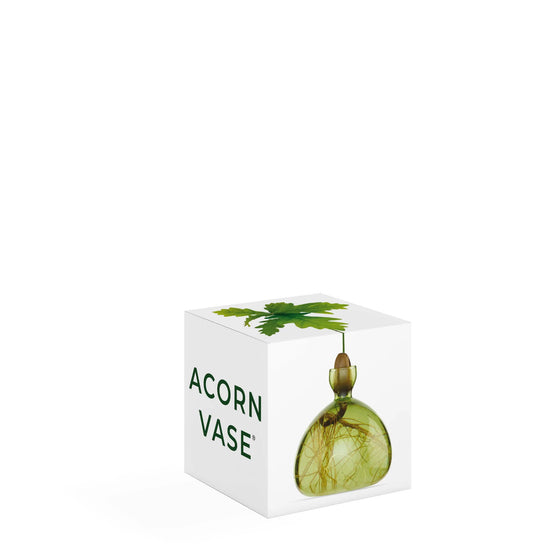 Load image into Gallery viewer, Acorn Vase
