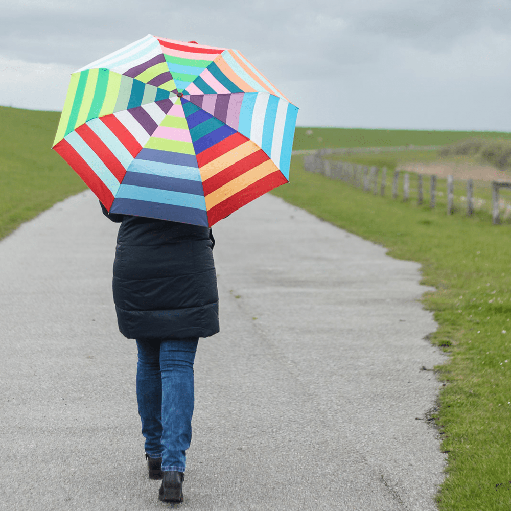 Compact Colour Umbrella